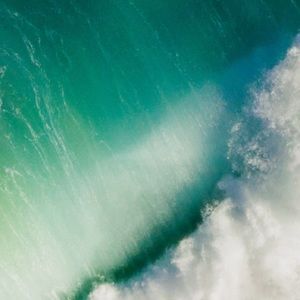 Meet your Posher, Marley